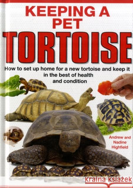 Keeping a Pet Tortoise A.C. Highfield, Nadine Highfield 9781842862131 Interpet Publishing - książka