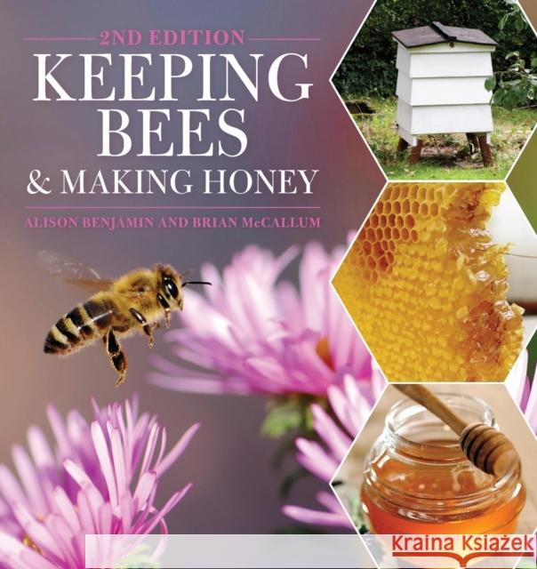 Keeping Bees and Making Honey: 2nd Edition Benjamin, Alison 9781446303559  - książka