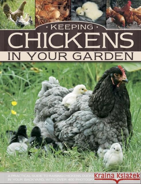 Keeping Chickens in Your Garden Hams Fred 9781780193090 Southwater Publishing - książka