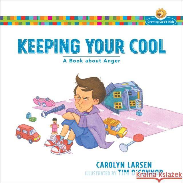 Keeping Your Cool: A Book about Anger Carolyn Larsen 9780801009129 Baker Books - książka