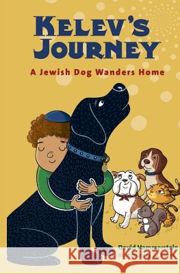 Kelev's Journey: A Jewish Dog Wanders Home David Hammerstein 9780997341614 Wyndebirk Books - książka