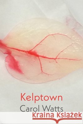 Kelptown Carol Watts 9781848617339 Shearsman Books - książka