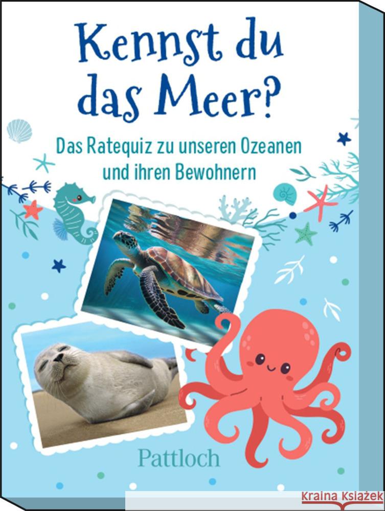 Kennst du das Meer? Wiesel, Klara 4260308345135 Pattloch - książka