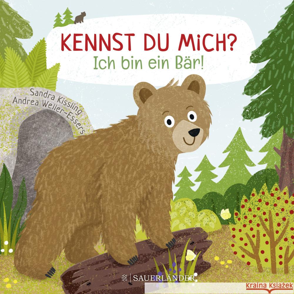 Kennst du mich? Ich bin ein Bär! Weller-Essers, Andrea 9783737372565 FISCHER Sauerländer - książka