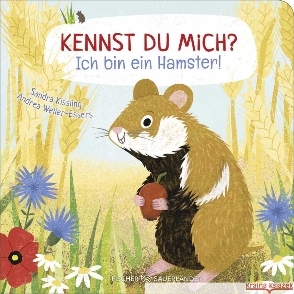 Kennst du mich? Ich bin ein Hamster! Weller-Essers, Andrea 9783737373166 FISCHER Sauerländer - książka