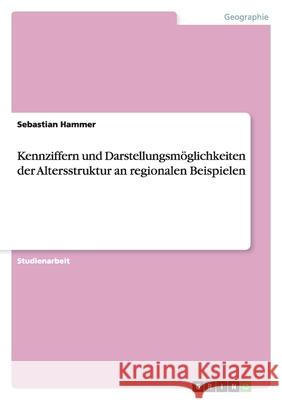 Kennziffern und Darstellungsmoeglichkeiten der Altersstruktur an regionalen Beispielen Sebastian Hammer 9783640494491 Grin Verlag - książka