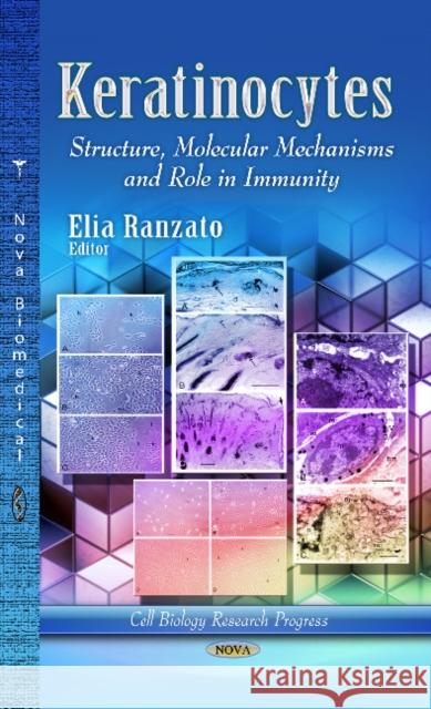 Keratinocytes: Structure, Molecular Mechanisms & Role in Immunity Elia Ranzato 9781626187986 Nova Science Publishers Inc - książka