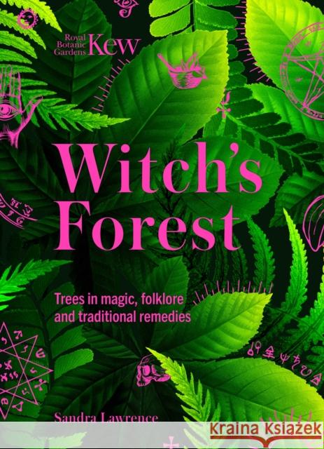 Kew - Witch\'s Forest: Trees in magic, folklore and traditional remedies Royal Botanic Gardens Kew 9781802795370 Headline Publishing Group - książka