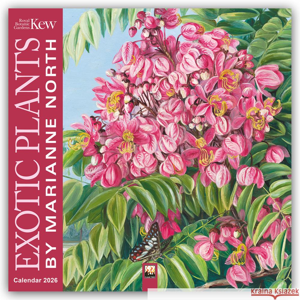 Kew Gardens: Exotic Plants by Marianne North Wall Calendar 2026 (Art Calendar) Flame Tree Studio 9781835623916 Flame Tree Publishing - książka