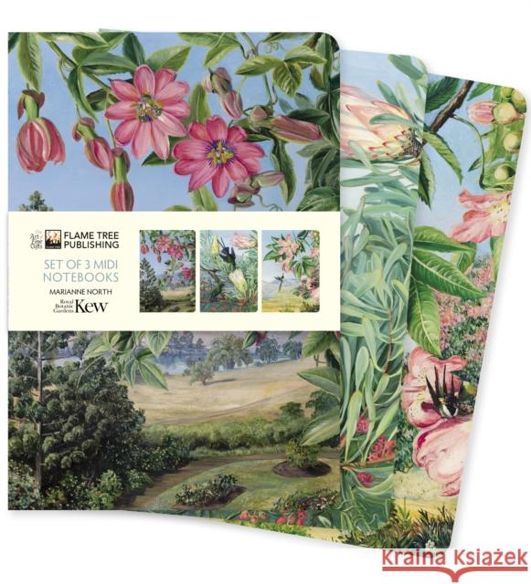 Kew Gardens: Marianne North Set of 3 Midi Notebooks  9781804172209 Flame Tree Publishing - książka