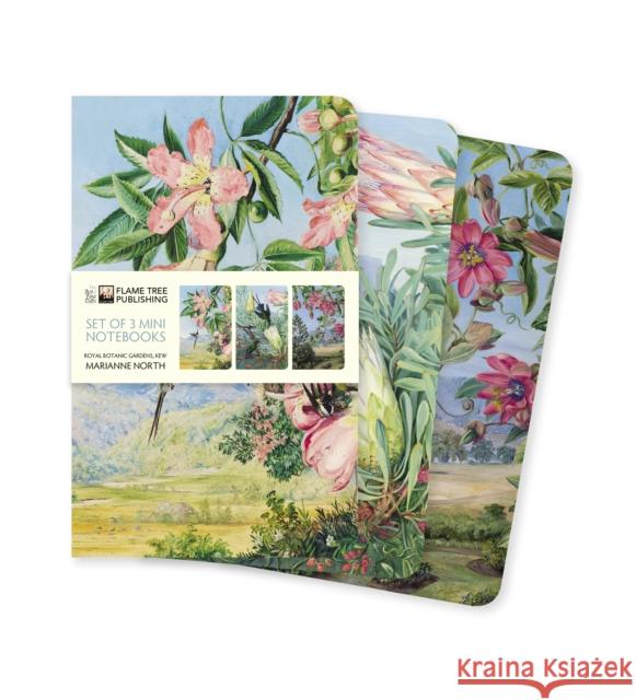 Kew Gardens' Marianne North Set of 3 Mini Notebooks  9781787559165 Flame Tree Gift - książka