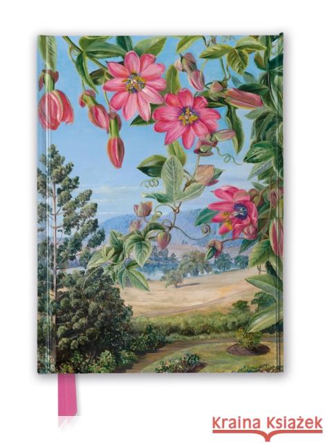 Kew Gardens' Marianne North: View in the Brisbane Botanic Garden (Foiled Journal) Flame Tree Studio 9781787558298 Flame Tree Gift - książka