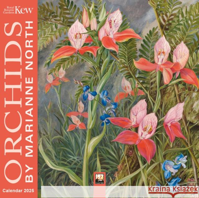 Kew Gardens: Orchids by Marianne North Mini Wall Calendar 2025 (Art Calendar) Flame Tree Studio 9781835621127 Flame Tree Publishing - książka