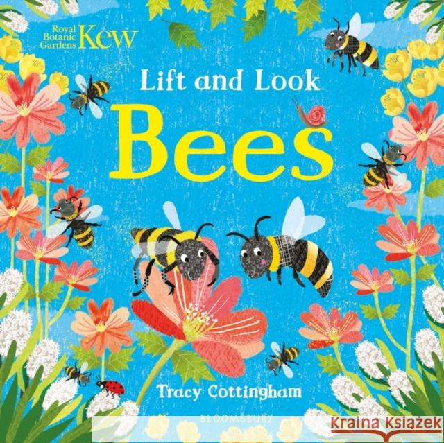 Kew: Lift and Look Bees  9781526609403 Bloomsbury Publishing PLC - książka