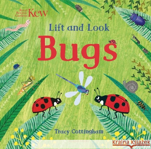 Kew: Lift and Look Bugs Tracy Cottingham 9781408889817 Bloomsbury Publishing PLC - książka