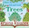 Kew: Lift and Look Trees  9781526609397 Bloomsbury Publishing PLC