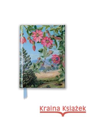 Kew: Marianne North: View in Brisbane Botanic Garden (Foiled Pocket Journal) Flame Tree Studio 9781839642951 Flame Tree Publishing - książka