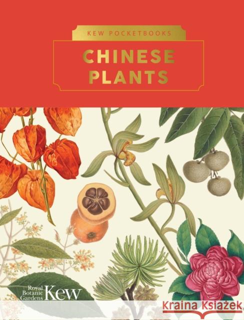 Kew Pocketbooks: Chinese Plants Alex Summers 9781842468548 Royal Botanic Gardens - książka