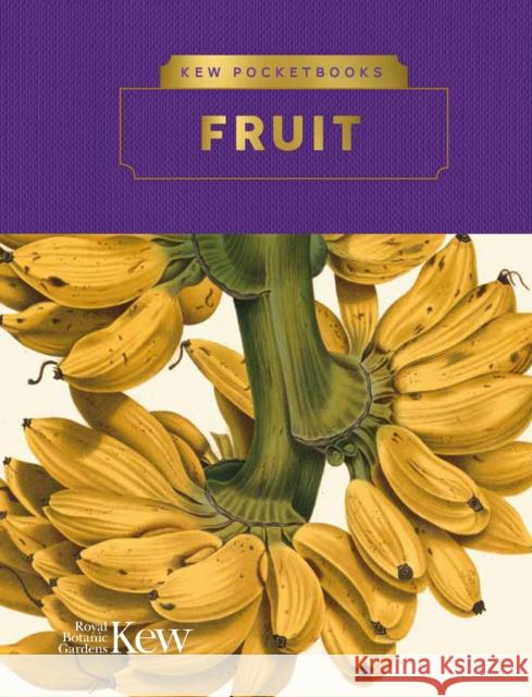 Kew Pocketbooks: Fruit The Royal Botanic Gardens, Kew 9781842467527 Royal Botanic Gardens Kew - książka