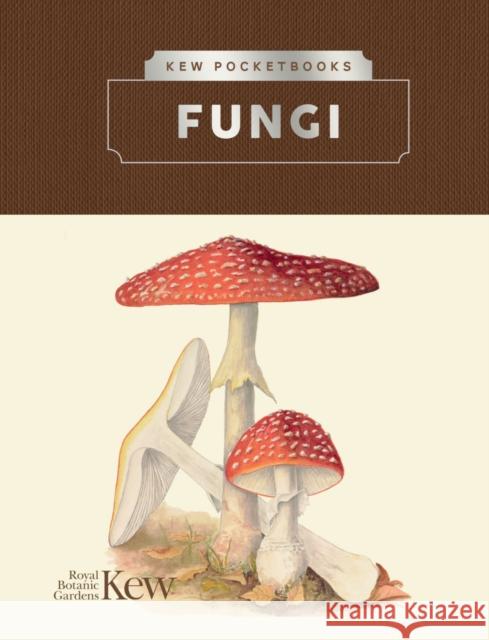 Kew Pocketbooks: Fungi The Royal Botanic Gardens, Kew 9781842467268 Royal Botanic Gardens - książka