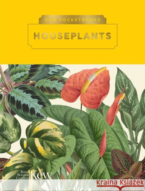 Kew Pocketbooks: House Plants Bryony Langley 9781842468067 Kew Publishing - książka