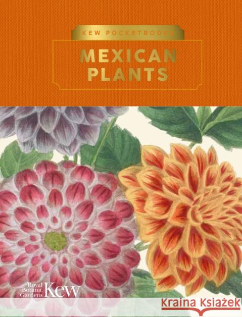 Kew Pocketbooks: Mexican Plants  9781842467671 Royal Botanic Gardens - książka