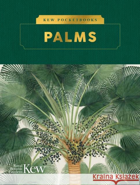 Kew Pocketbooks: Palms Kew Royal Botanic Gardens 9781842467114 Royal Botanic Gardens Kew - książka