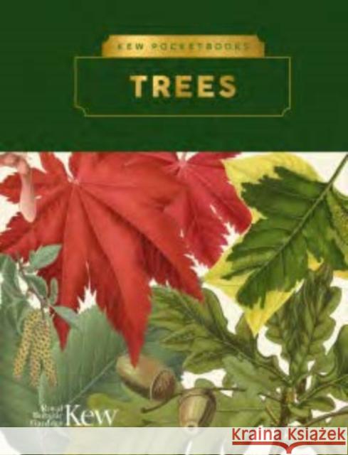 Kew Pocketbooks: Trees Kevin Martin 9781842467824 Royal Botanic Gardens - książka