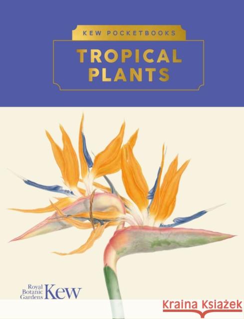 Kew Pocketbooks: Tropical Plants Brie Langley 9781842468371 Royal Botanic Gardens Kew - książka