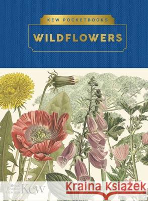 Kew Pocketbooks: Wildflowers Ed Ikin 9781842467350 Royal Botanic Gardens Kew - książka