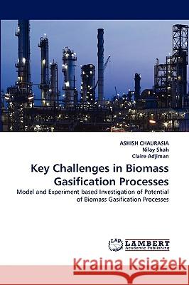 Key Challenges in Biomass Gasification Processes  9783838373706 LAP Lambert Academic Publishing AG & Co KG - książka