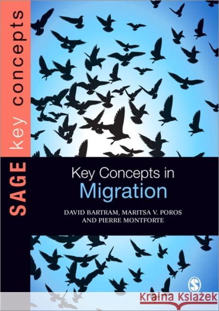 Key Concepts in Migration David Bartram Maritsa Poros Pierre Monforte 9780857020789 SAGE Publications Ltd - książka