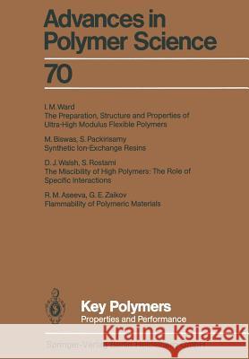 Key Polymers: Properties and Performance Aseeva, R. M. 9783662152133 Springer - książka