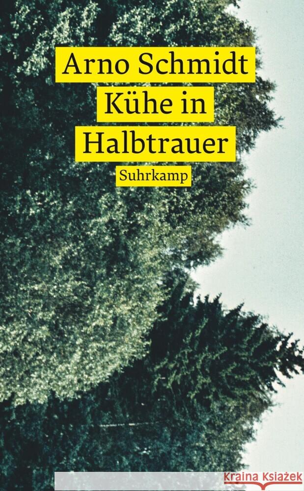 Kühe in Halbtrauer Schmidt, Arno 9783518472729 Suhrkamp - książka