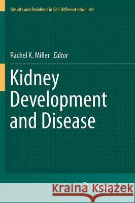 Kidney Development and Disease Rachel K. Miller 9783319846507 Springer - książka