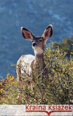 Kids Deer Journal: Rocky Mountain Mule Deer Journal or Notebook Wunderlich, Jordan 9780464694427 Blurb - książka