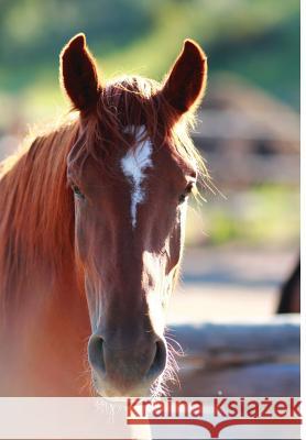 Kid's Equine Photography Book: Volume One Wunderlich, Jordan 9780368007835 Blurb - książka