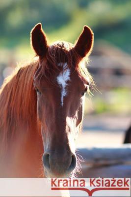 Kid's Equine Photography Book: Volume One Wunderlich, Jordan 9780368007859 Blurb - książka