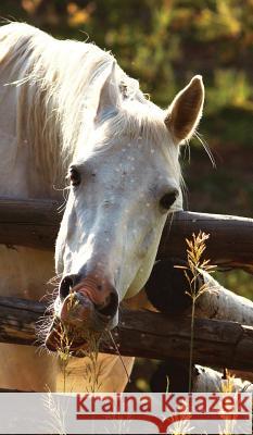 Kids Petite Equine Leftie Journal: Equine Themed Wide Ruled Journal or Notebook Wunderlich, Jordan 9780464687993 Blurb - książka