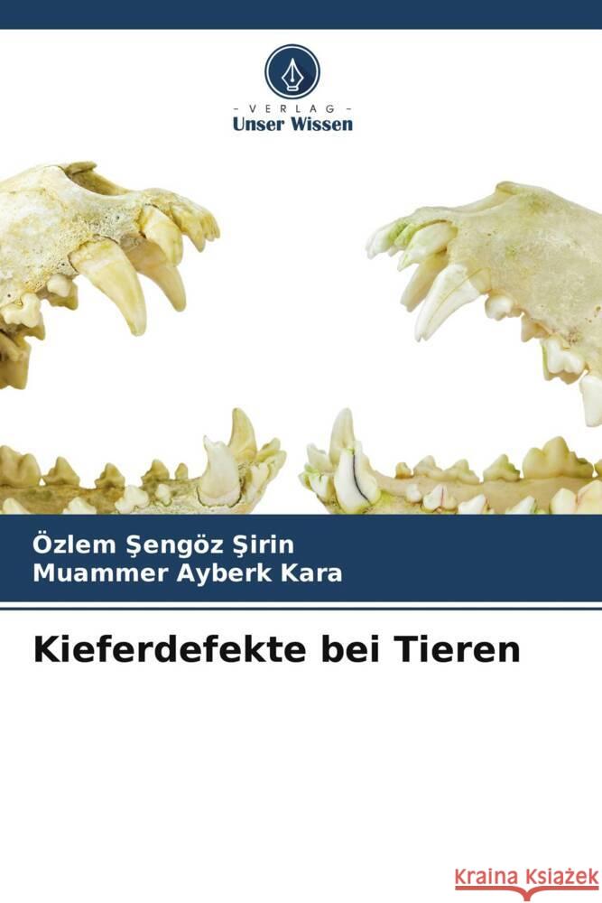 Kieferdefekte bei Tieren OEzlem Şengoez Şirin Muammer Ayberk Kara  9786206024927 Verlag Unser Wissen - książka