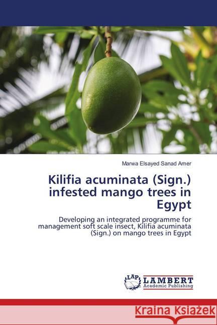 Kilifia acuminata (Sign.) infested mango trees in Egypt : Developing an integrated programme for management soft scale insect, Kilifia acuminata (Sign.) on mango trees in Egypt Sanad Amer, Marwa Elsayed 9786139832903 LAP Lambert Academic Publishing - książka