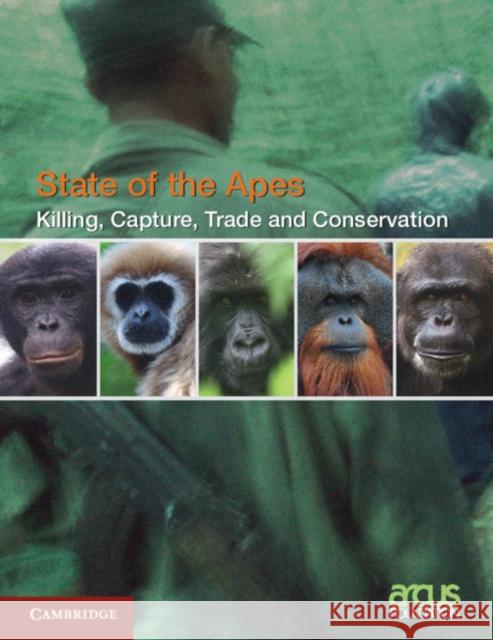 Killing, Capture, Trade and Ape Conservation: Volume 4 Arcus Foundation 9781108738262 Cambridge University Press - książka