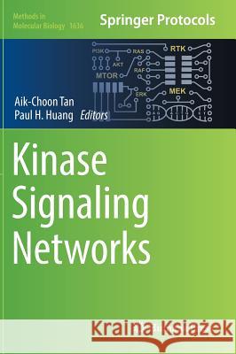 Kinase Signaling Networks Aik-Choon Tan Paul H. Huang 9781493971527 Humana Press - książka