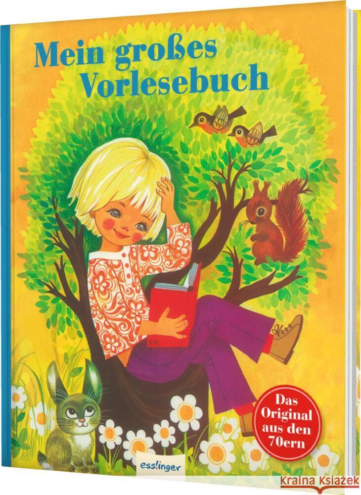Kinderbücher aus den 1970er-Jahren Brüder Grimm, Storm, Theodor, Bull, Bruno Horst 9783480239788 Esslinger in der Thienemann-Esslinger Verlag  - książka