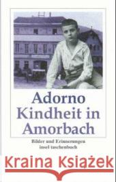 Kindheit in Amorbach : Bilder und Erinnerungen. Mit e. biograph. Recherche Adorno, Theodor W. Pabst, Reinhard  9783458346234 Insel, Frankfurt - książka