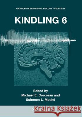 Kindling 6 Michael E. Corcoran Solomon L. Moshe Solomon L. Mosh 9781441937346 Springer - książka