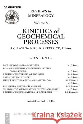 Kinetics of Geochemical Processes Anthonio C. Lasaga, James Kirkpatrick 9780939950089 Mineralogical Society of America - książka