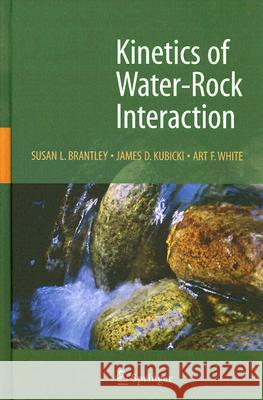 Kinetics of Water-Rock Interaction Susan Brantley James Kubicki Art White 9780387735627 Not Avail - książka