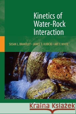 Kinetics of Water-Rock Interaction Susan L. Brantley James D. Kubicki Art F. White 9781493939152 Springer - książka