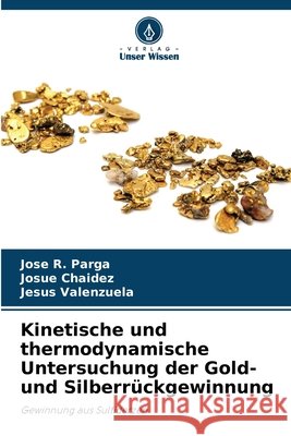 Kinetische und thermodynamische Untersuchung der Gold- und Silberrückgewinnung Parga, Jose R., Chaidez, Josue, Valenzuela, Jesús 9786209581373 Verlag Unser Wissen - książka